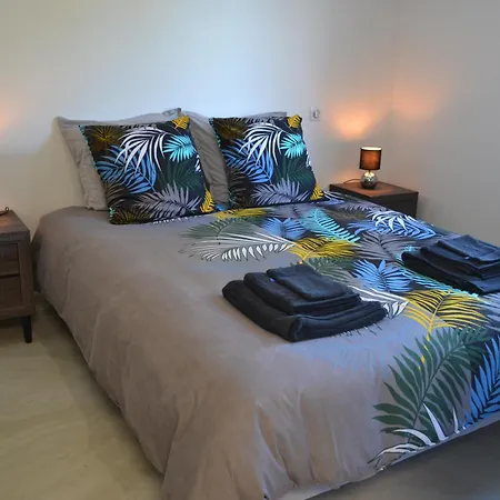 Apartamento Etoile Du Berger 3 Et 4 Jardin Individuel Et Piscine Chauffee En Saison - La Et Les Plages 450 M Saint Aygulf