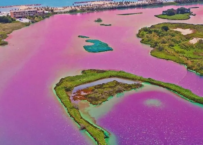 Lejlighed Etoile Du Berger 3 Et 4 Jardin Individuel Et Piscine Chauffee En Saison - La Et Les Plages 450 M *