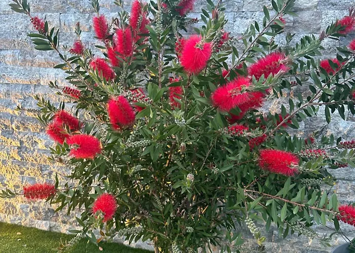 Etoile Du Berger 3 Et 4 Jardin Individuel Et Piscine Chauffee En Saison - La Et Les Plages 450 M Lejlighed *